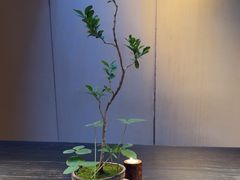 -元古本店(南锣鼓巷店)