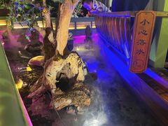 -绿茶餐厅(南昌王府井店)
