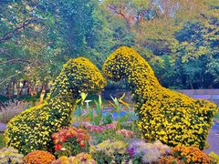 -杭州植物园
