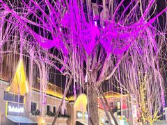 -斯普瑞斯奥特莱斯