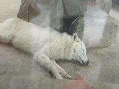 -杭州野生动物世界