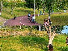 -白鹭湾湿地公园