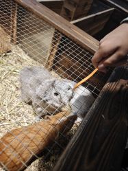 -酷嗒动物文化乐园(cutezoo西溪乐天城店)