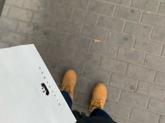 -BLACKSWAN黑天鹅(环球店)