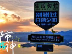 -浔味·山屿湖·正宗淳牌全鱼宴老字号