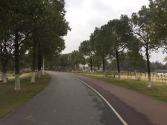 -艾溪湖湿地公园