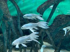 -常州海昌海洋探索馆