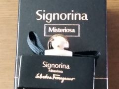 -莎莎(西九龙高铁站店)