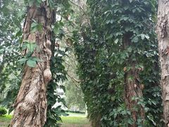 -广东外语外贸大学(白云山校区)