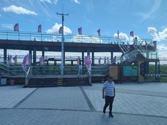 -黑瞎子岛探秘野熊园