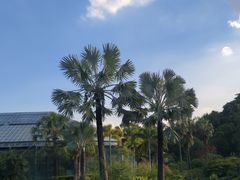 -华南国家植物园-售票处