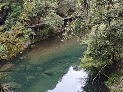 -石台牯牛降景区
