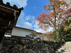 -三千院