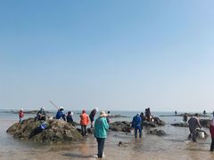-刘家湾赶海园