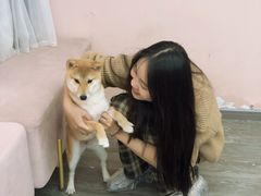 -浣熊柯尔鸭土拨鼠·电玩咖