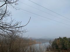 -佛手湖郊野公园