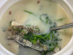 -港升鱼师傅·中山脆肉鲩