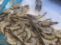 -新艺自助美食城(中山路店)