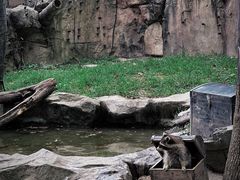 -上海野生动物园