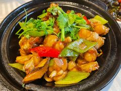 生喱牛蛙煲-粤秀小厨·广式早茶(辽宁路店)