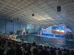 -蓬莱欧乐堡海洋极地世界