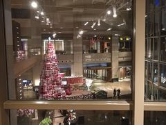 -上海外滩茂悦大酒店