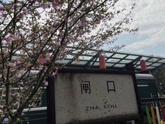 -白塔公园-儿童游乐园