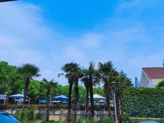 -海逸海鲜酒家(古北店)