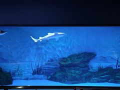 -汉堡王(海昌海洋公园店)