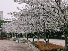 -玉山公园