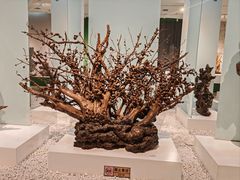 -吉林市博物馆