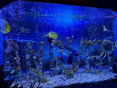 -太平洋海底世界