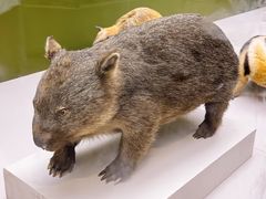 -国家自然博物馆