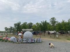 -天津东丽湖风景区