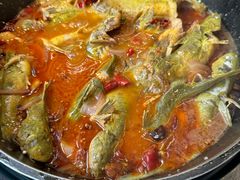 -青青河边草·小小河边鱼(万达广场太仓店)