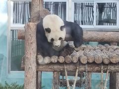 -大连森林动物园