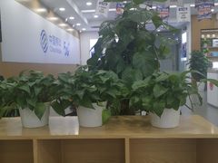 -中国移动(八里庄西里住邦2000营业厅)