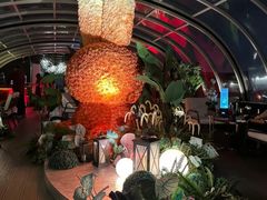 -Hi City·城市之巅