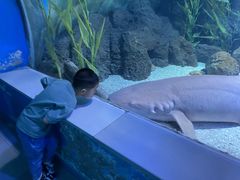 -常州海昌海洋探索馆