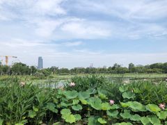-澹台湖公园