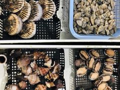 -南沙十九涌渔人码头-南门