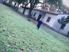 -同里国家湿地公园
