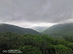 -呀诺达热带雨林