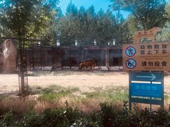 -秦皇岛野生动物园