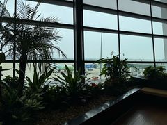 -郑州新郑国际机场-T2航站楼