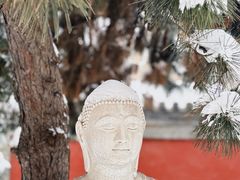 -护国法轮寺
