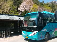 -崂山巨峰游览区