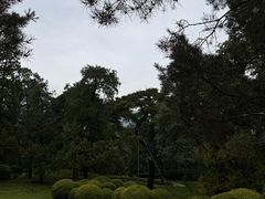 -香山公园