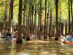-捞渔河湿地公园