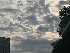 -芳芳餐厅(白沙路店)